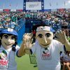 chetverg23fevraljapjatyjigrovojdenzhenskogoturniradubaidutyfreetennischampionshipsvdubaezavtraprojdutchetvertfinalnyematchivofcae596 Новости СПОРТА свежие события спорта Футбол Хоккей Теннис ММА