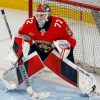 bobrovskijkorotkopostrigsjaisbrilboroduposlepobedyvkubkestenli47266eb Новости СПОРТА свежие события спорта Футбол Хоккей Теннис ММА