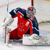 avangardvrezultateobmenascskapoluchilpravanavratarjaprosvetova0a69a6e Новости СПОРТА свежие события спорта Футбол Хоккей Теннис ММА